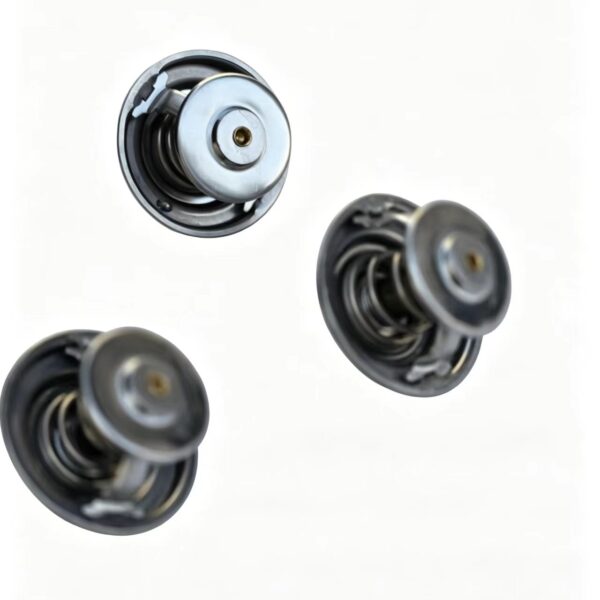 WPB1000042280 Built-in Thermostat