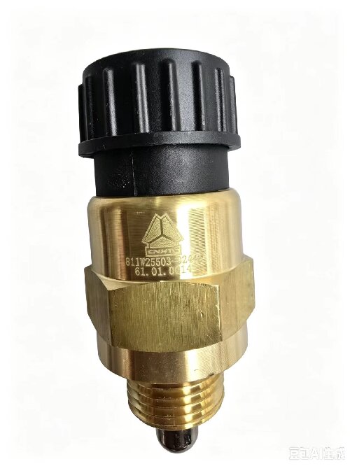 811W25503-0244 Pressure Switch - الصورة 3