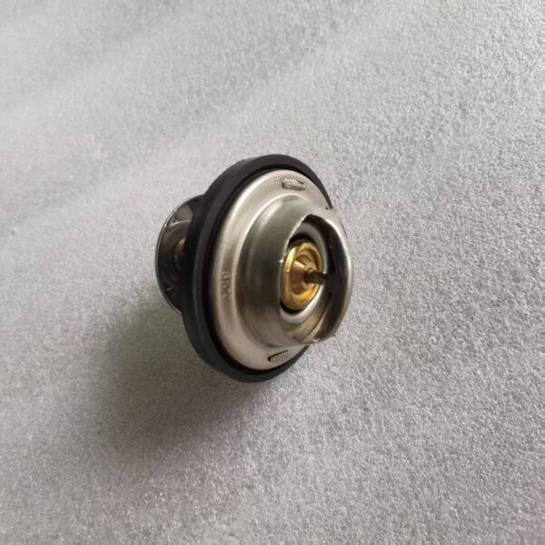 Thermostat 201V06402-6008
