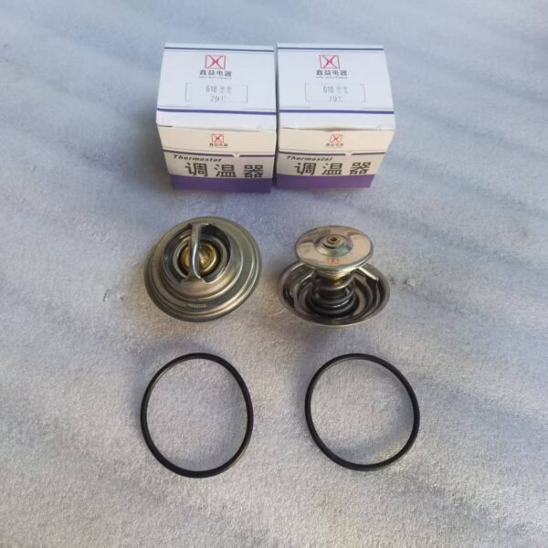 thermostat 61800060172